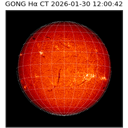gong - 2026-01-30T12:00:42