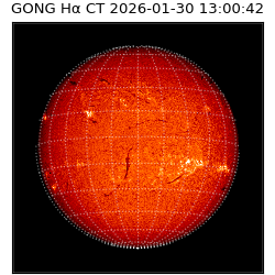 gong - 2026-01-30T13:00:42