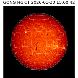 gong - 2026-01-30T15:00:42