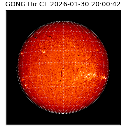 gong - 2026-01-30T20:00:42