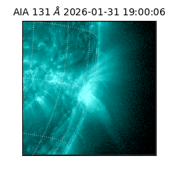 saia - 2026-01-31T19:00:06.622000