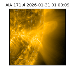 saia - 2026-01-31T01:00:09.349000