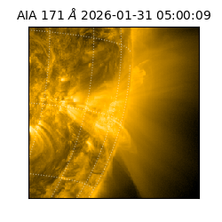 saia - 2026-01-31T05:00:09.350000