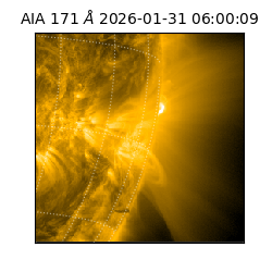 saia - 2026-01-31T06:00:09.349000