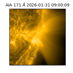 saia - 2026-01-31T09:00:09.350000