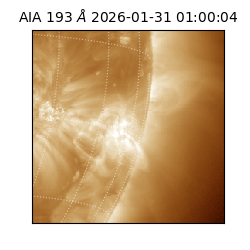 saia - 2026-01-31T01:00:04.846000