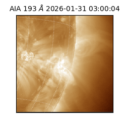 saia - 2026-01-31T03:00:04.843000