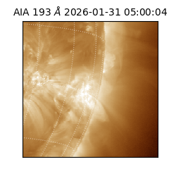 saia - 2026-01-31T05:00:04.843000