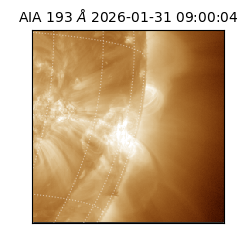 saia - 2026-01-31T09:00:04.843000