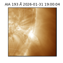 saia - 2026-01-31T19:00:04.843000