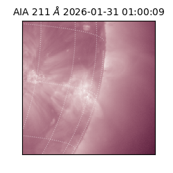 saia - 2026-01-31T01:00:09.629000