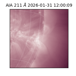 saia - 2026-01-31T12:00:09.626000