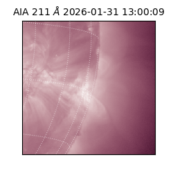 saia - 2026-01-31T13:00:09.623000