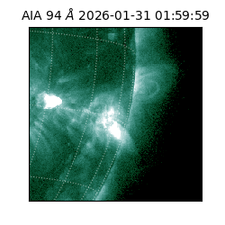 saia - 2026-01-31T01:59:59.122000