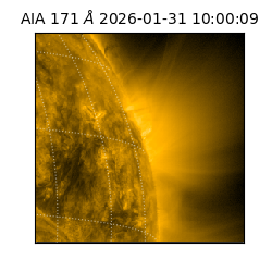 saia - 2026-01-31T10:00:09.350000