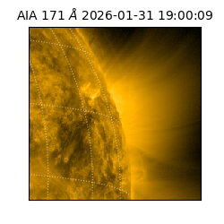 saia - 2026-01-31T19:00:09.350000