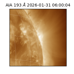 saia - 2026-01-31T06:00:04.843000