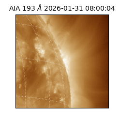 saia - 2026-01-31T08:00:04.843000