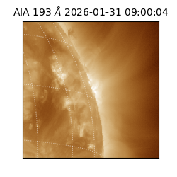 saia - 2026-01-31T09:00:04.843000