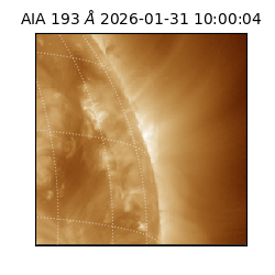 saia - 2026-01-31T10:00:04.843000