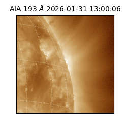 saia - 2026-01-31T13:00:06.937000