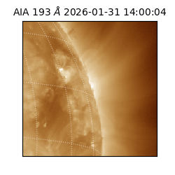 saia - 2026-01-31T14:00:04.843000