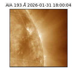 saia - 2026-01-31T18:00:04.843000