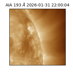 saia - 2026-01-31T22:00:04.843000