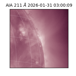 saia - 2026-01-31T03:00:09.630000
