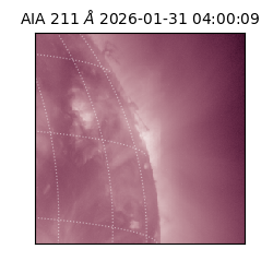 saia - 2026-01-31T04:00:09.626000