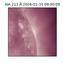 saia - 2026-01-31T08:00:09.626000