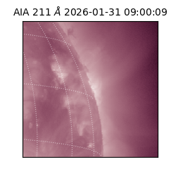 saia - 2026-01-31T09:00:09.626000