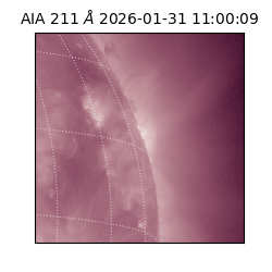 saia - 2026-01-31T11:00:09.626000