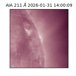 saia - 2026-01-31T14:00:09.626000