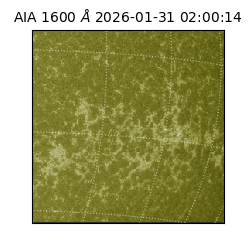 saia - 2026-01-31T02:00:14.126000