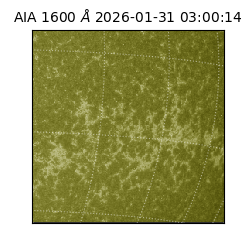 saia - 2026-01-31T03:00:14.126000