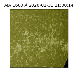 saia - 2026-01-31T11:00:14.126000