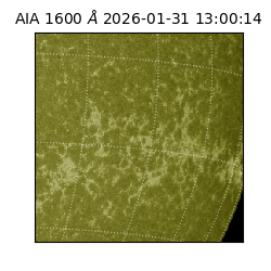 saia - 2026-01-31T13:00:14.126000