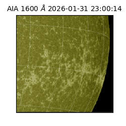 saia - 2026-01-31T23:00:14.126000