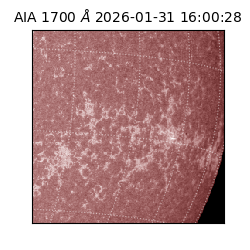 saia - 2026-01-31T16:00:28.717000