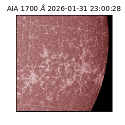 saia - 2026-01-31T23:00:28.717000