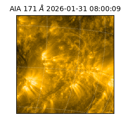 saia - 2026-01-31T08:00:09.350000