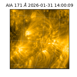 saia - 2026-01-31T14:00:09.350000
