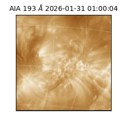 saia - 2026-01-31T01:00:04.846000