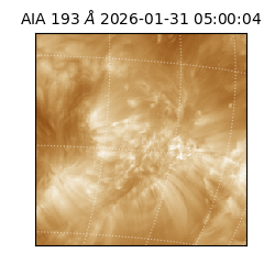 saia - 2026-01-31T05:00:04.843000