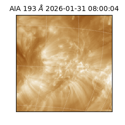 saia - 2026-01-31T08:00:04.843000