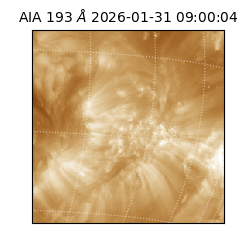 saia - 2026-01-31T09:00:04.843000