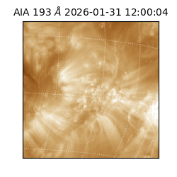 saia - 2026-01-31T12:00:04.843000