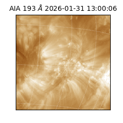 saia - 2026-01-31T13:00:06.937000