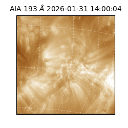 saia - 2026-01-31T14:00:04.843000